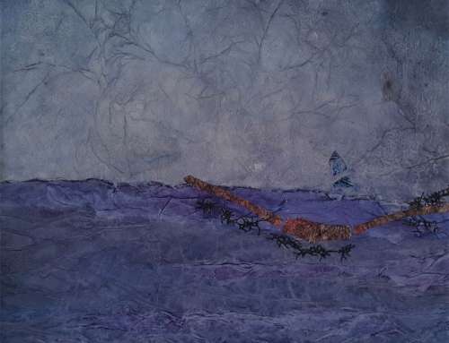 Lunghi giorni, grandi spazi / Long days, wide space